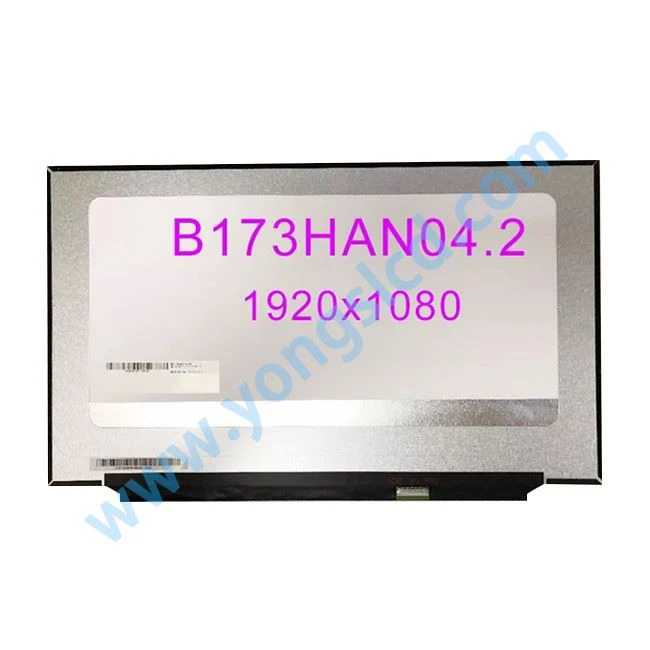 B173HAN04.2 LCD Panel Screen Display