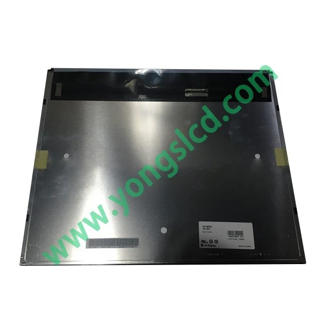 LB190E02-SL02 LCD Panel Screen Display