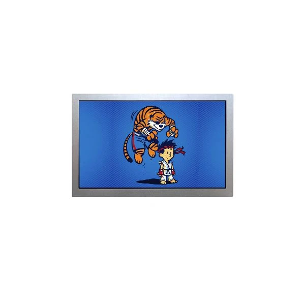 15.0 dyuymli TFT ekran AA150XN07 1024*768 LCD modulli displey
