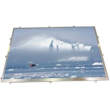 10,1 dyuymli LQ101K1LY04 TFT LCD panelli displey