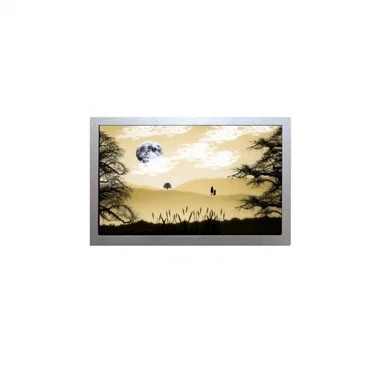 AA121XN01-DE5 12,1 dyuymli 1024x768 LCD monitor Sensorli ekran
