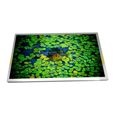 Netbook kompyuter uchun 10,1 dyuymli HannStar HSD100IFW4-A00 Tft LCD displey paneli