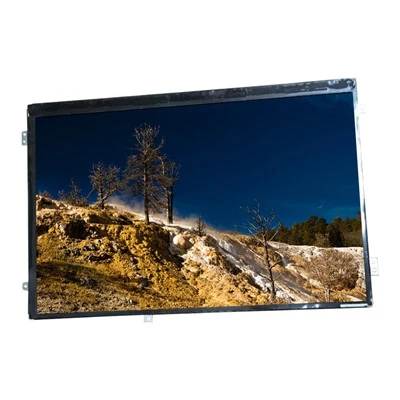 Yangi original 10,1 dyuymli 1280*800 HSD101PWW2-A01 LCD displey stokda