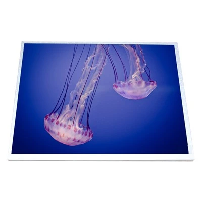 HSD100IXN1-A10 LCD displeyli displey paneli 10,0 dyuymli LCD displey