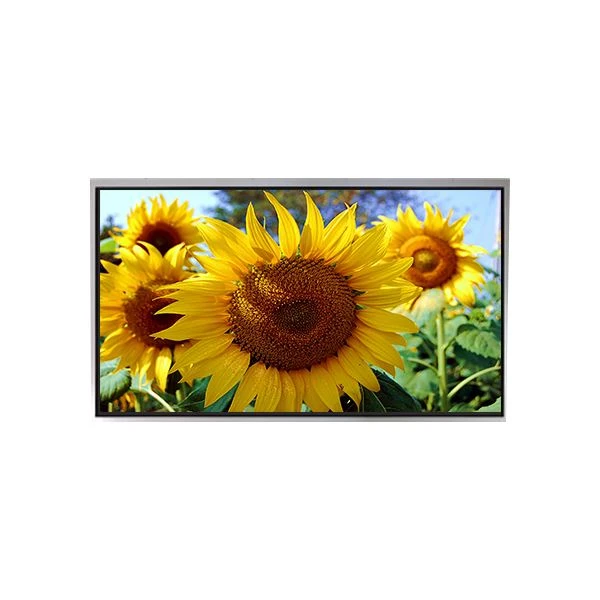 Issiq sotuv p1040Svn1mm 10 10.4 dyuymli LCD paneli