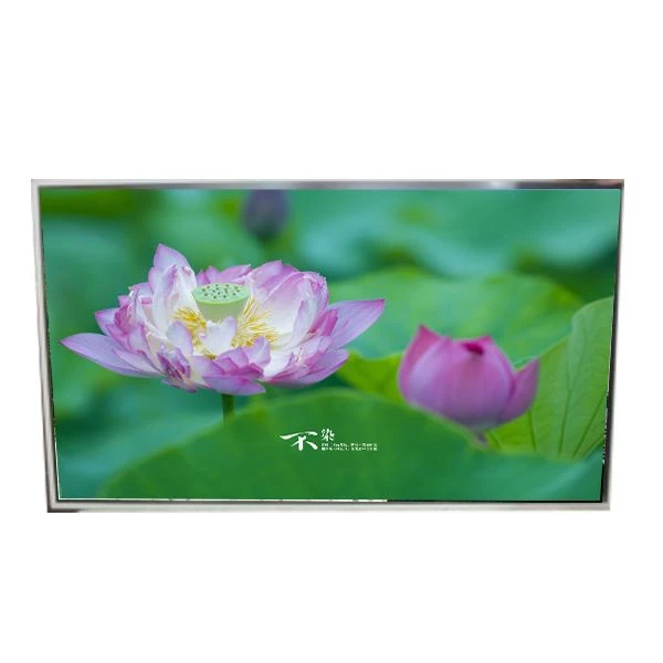 LD49 {{3 DUY DAYMA 1 49. 0 dyuym 1080p LCD ekran