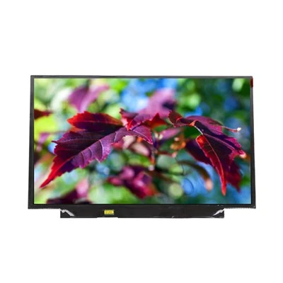 LT133EE10300 LCD Display Module 13.3inch 1366*768 LCD Screen For Laptop