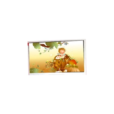 TM070RDHG 25-00 11.3 dyuym 1024 * 768 TFT {{4} - LAPTOP uchun LCD displeyi